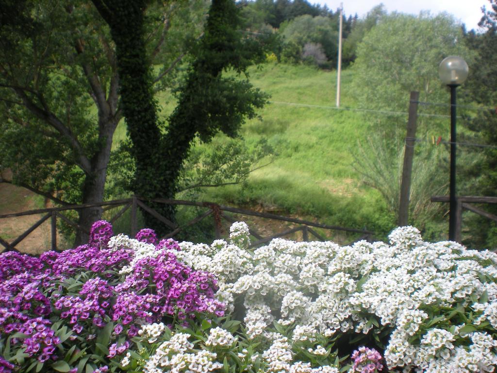Agriturismo La Baroncella Montemerano Zimmer foto